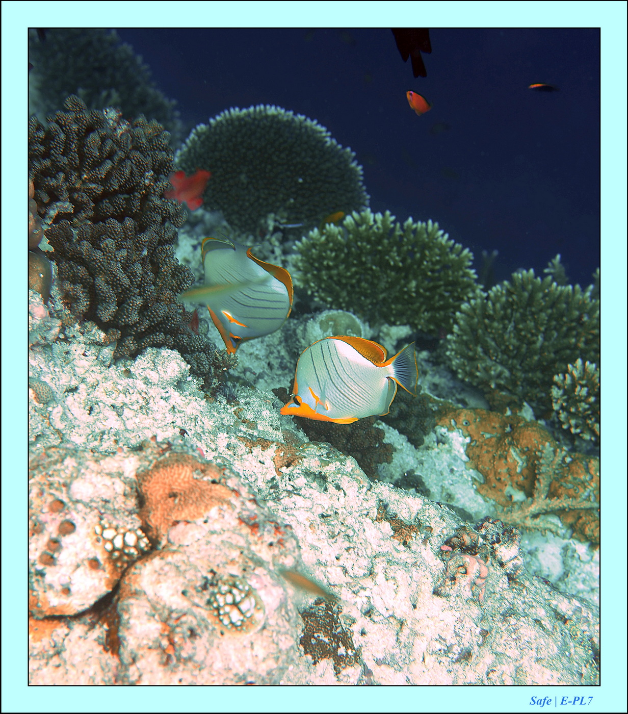 2023 - 07 - Sandies Bathala - 221